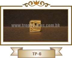 TP-6